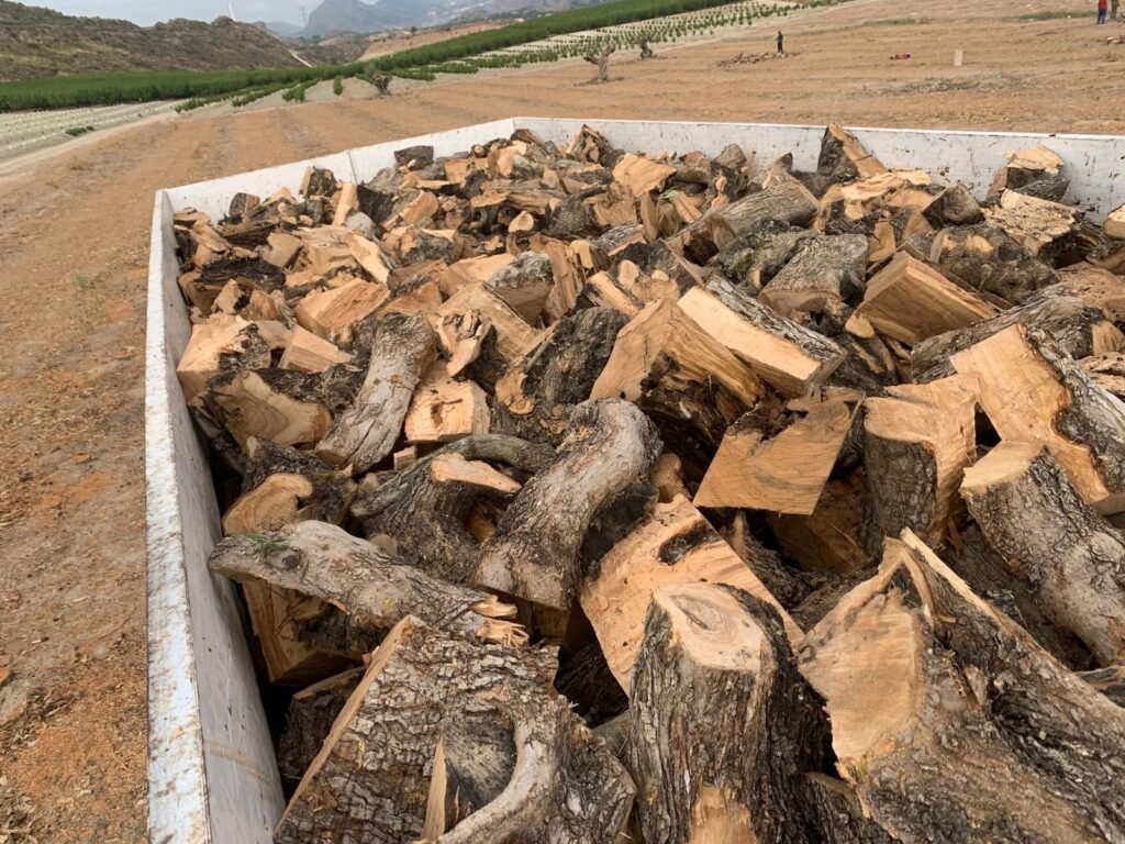 Remolque cargado de leña recién partida en Fortuna, con los frutales detrás