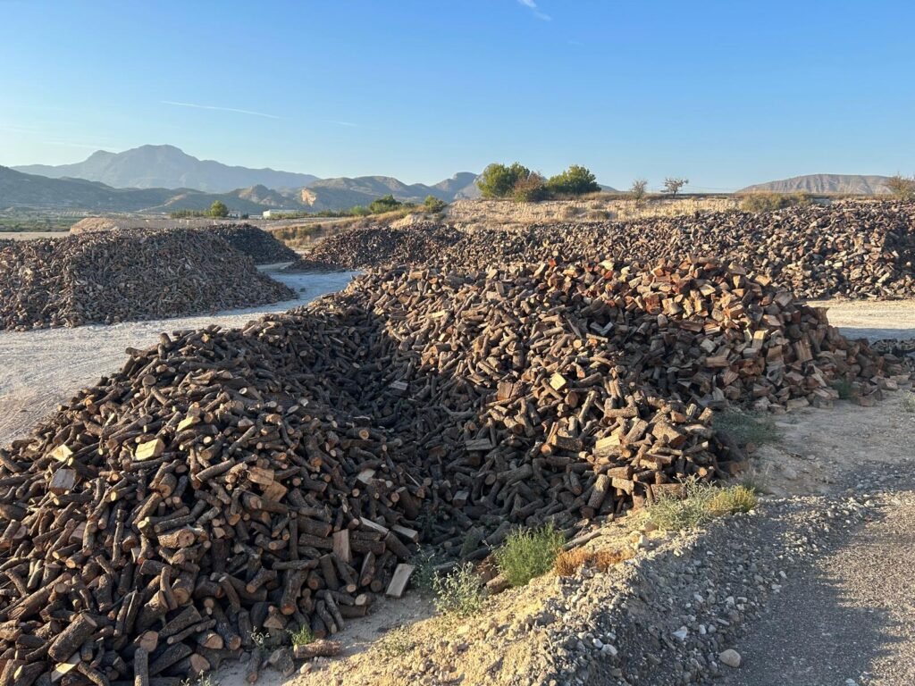 Filas de leña apiladas en nuestro patio de Fortuna, con la sierra al fondo al atardecer