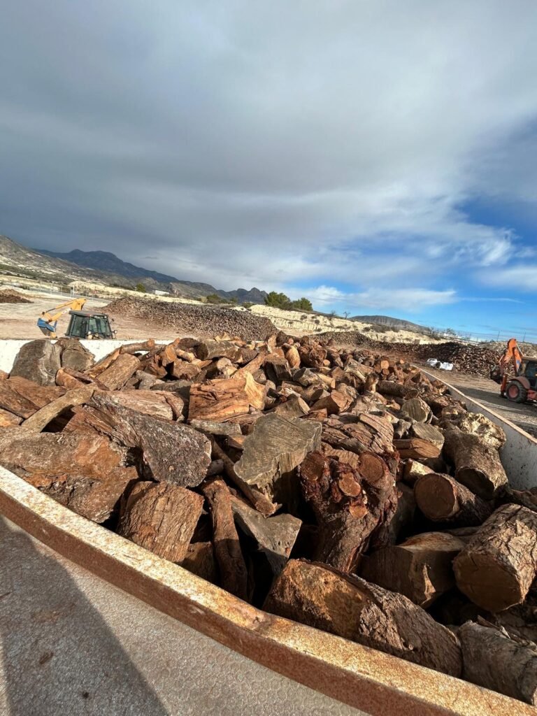 Contenedor con troncos gruesos de leña y las máquinas del patio de Fortuna detrás