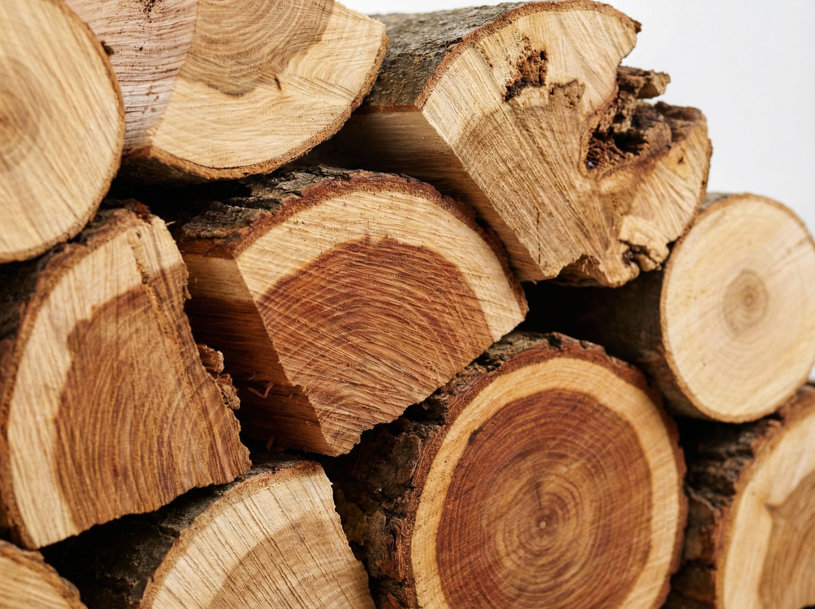 Leña de frutal en Murcia